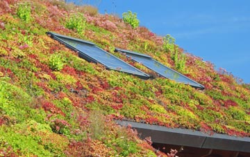 Northumberland living roof systems