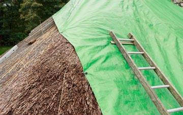 maintaining Northumberland thatch
